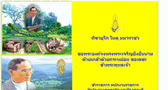 Desktop Screenshot of mueang.chonburi.doae.go.th