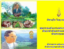 Tablet Screenshot of mueang.chonburi.doae.go.th