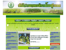 Tablet Screenshot of nonsuwan.buriram.doae.go.th