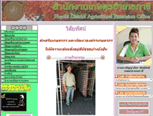 Tablet Screenshot of phachi.ayutthaya.doae.go.th